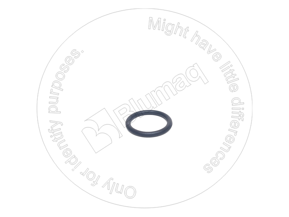 CS75311426 Seal O-ring