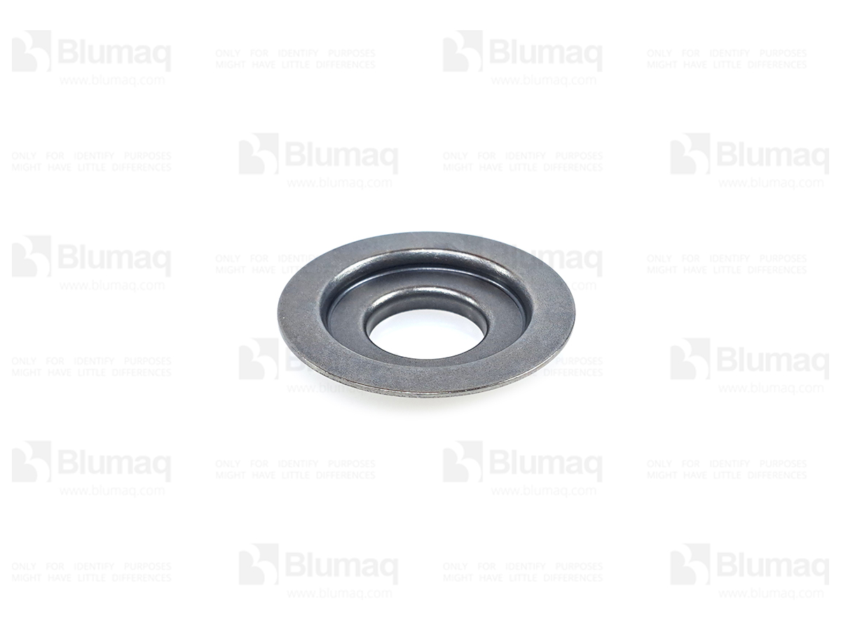 209-0962 Retainer for BLUMAQ