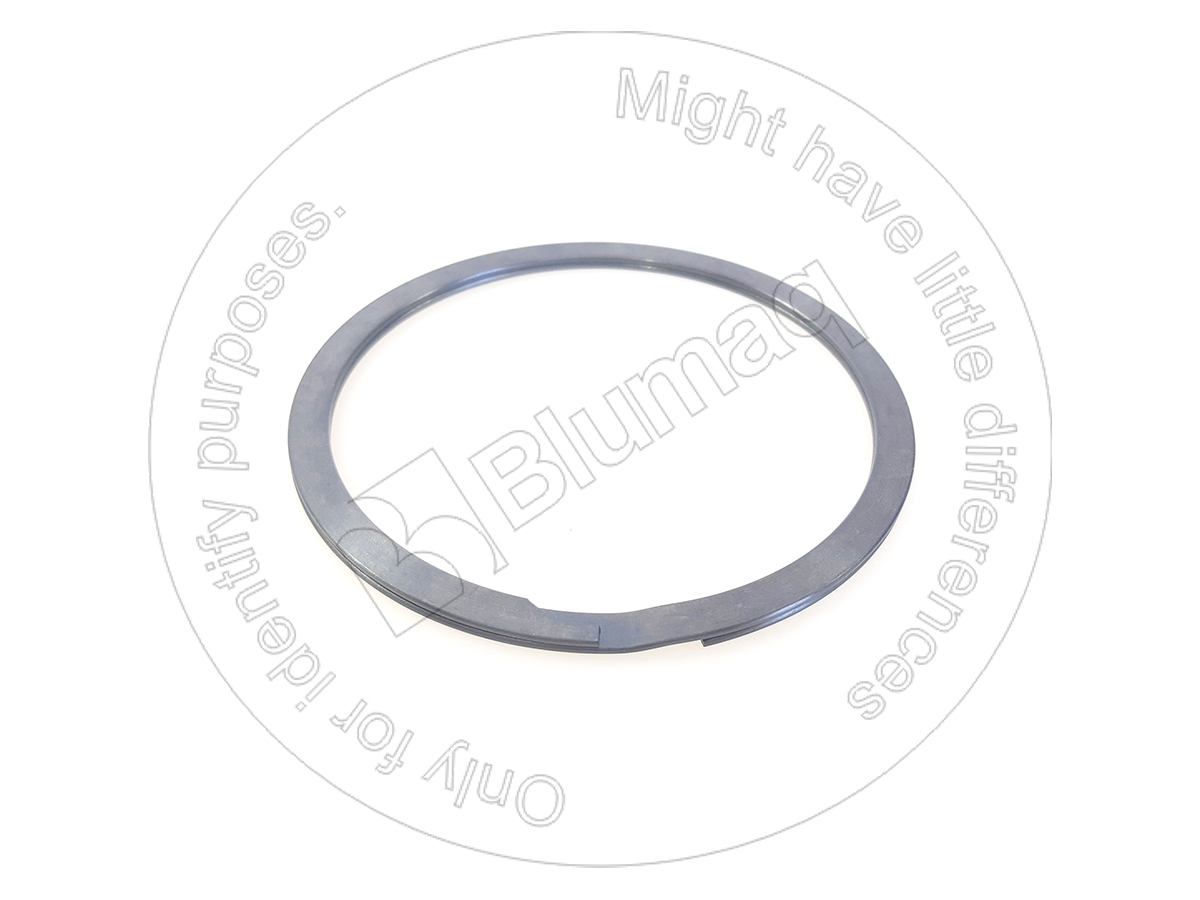 1S-8868 Seal Ring for BLUMAQ