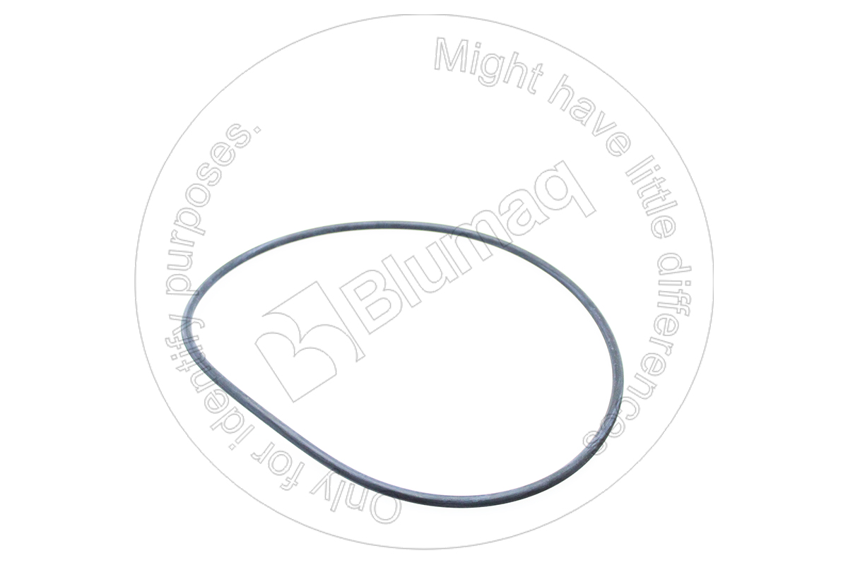 095-1689 Seal O-ring for BLUMAQ