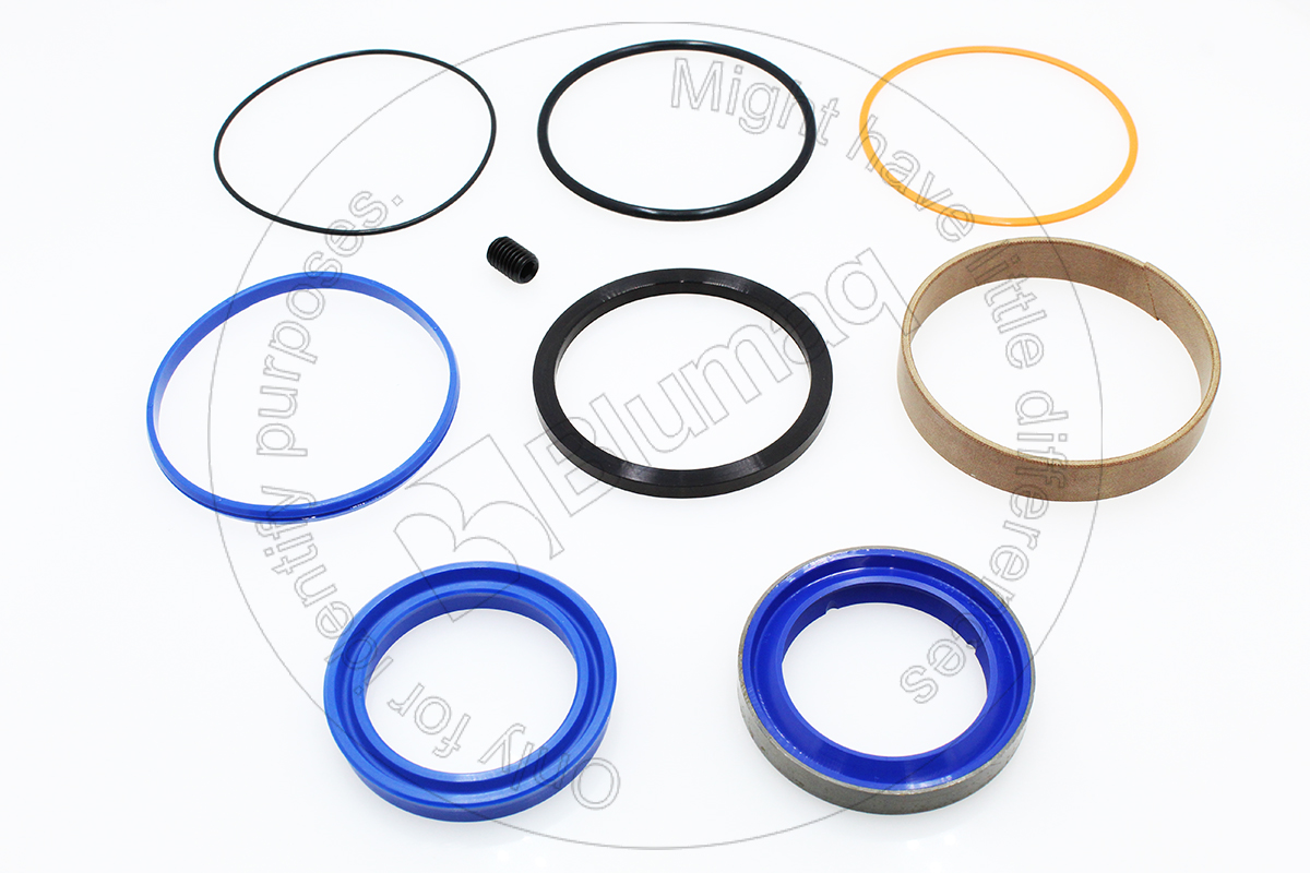243-2276 Seal Kit for BLUMAQ