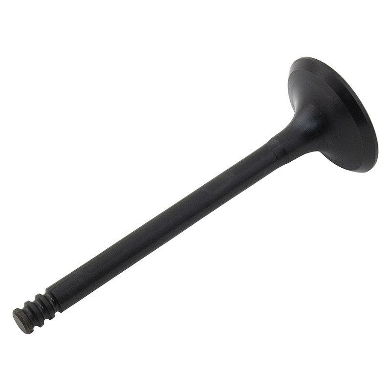 F821M6507CA Intake Valve