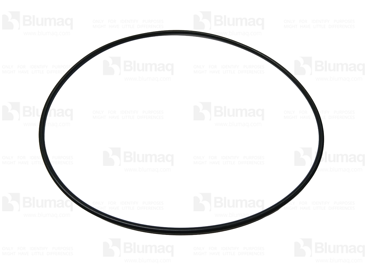 CS87708438 Seal O-ring