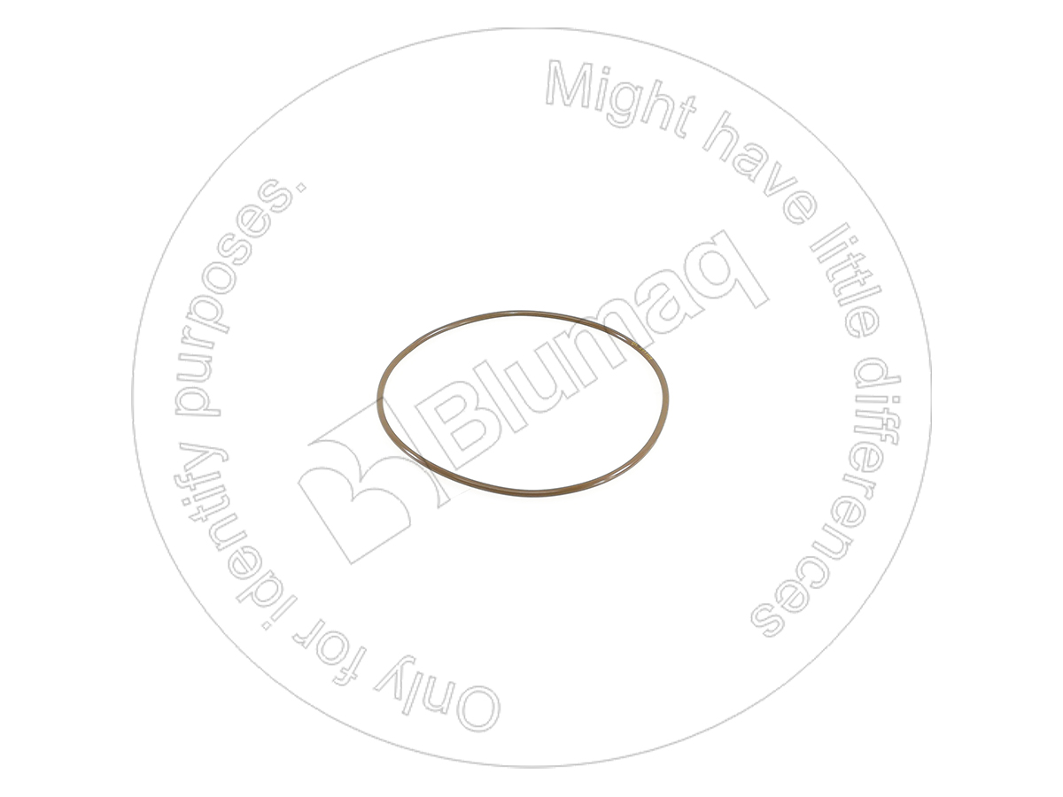 535-5080 Seal O-ring for BLUMAQ