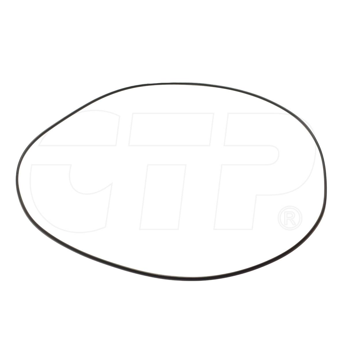 424-13-11110 Seal O Ring