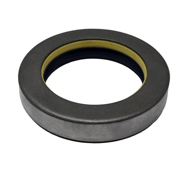 100529A1 Seal for CASE