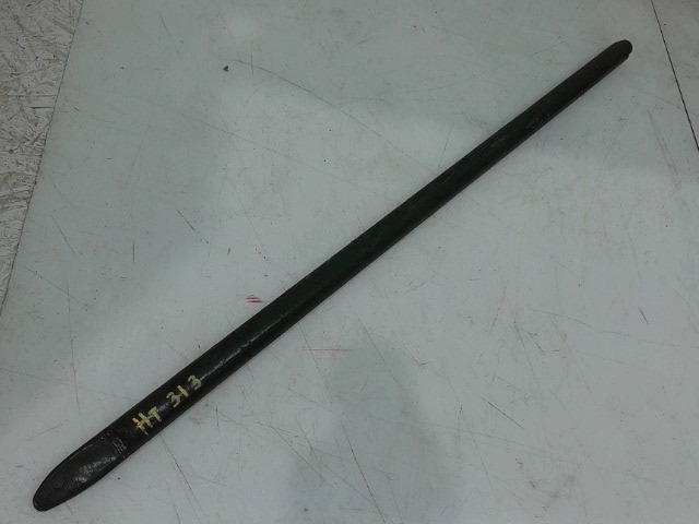 HT313 Spike