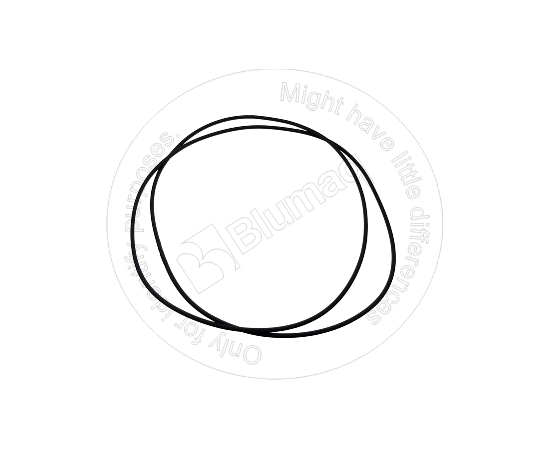 DA401002-00732 Seal O-ring for BLUMAQ