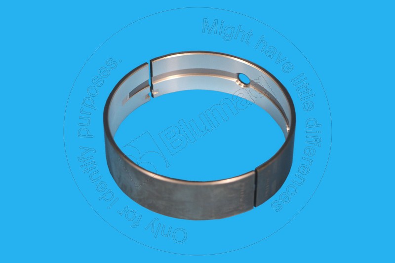 78935600 BLUMAQ Main Bearing Std.