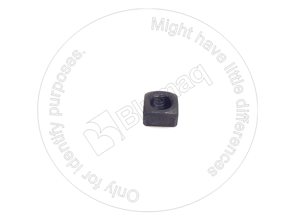 154-32-71220 Shoe Nut