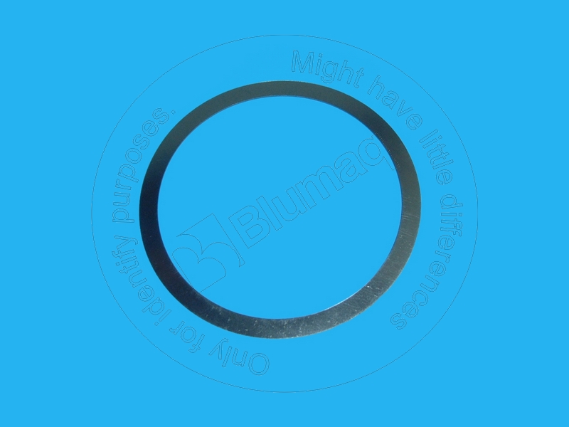 CS8603229 Shim