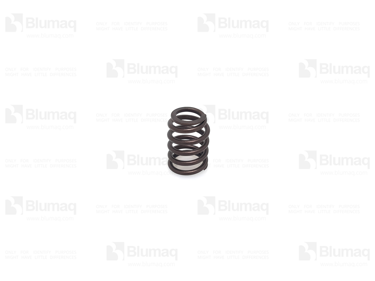 225-5496 Valve Spring