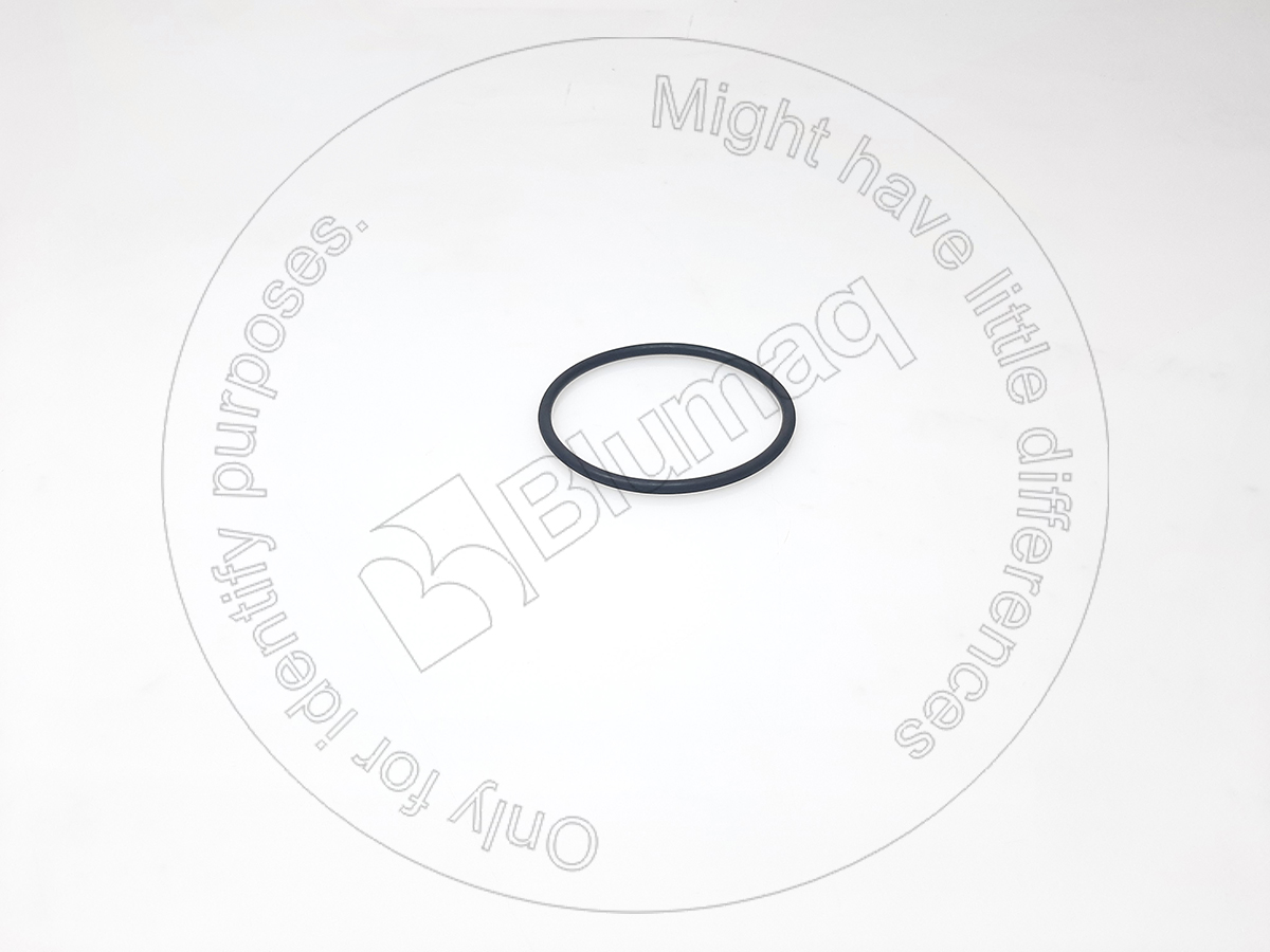 CSA26993 Seal O-ring