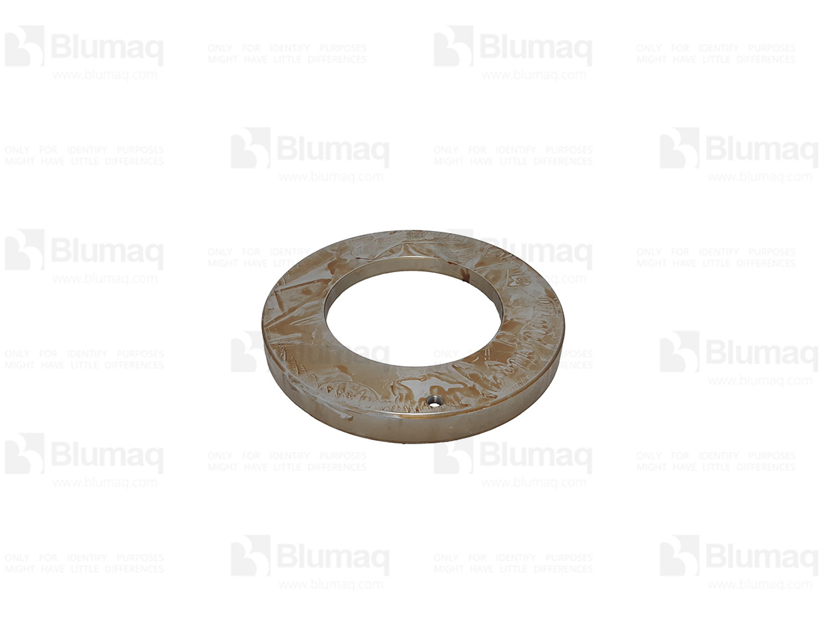 325-5978 Piston for BLUMAQ