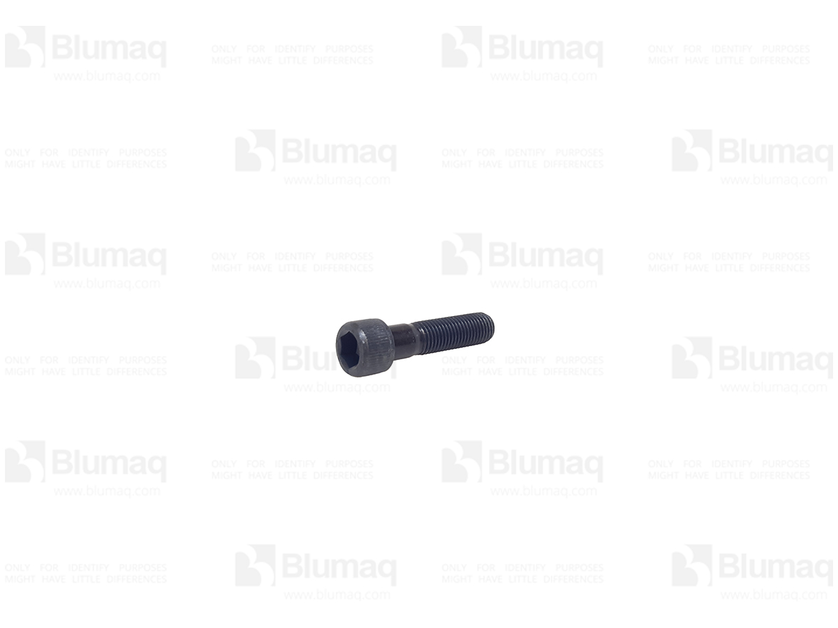 534-9528 Allen Bolt for BLUMAQ