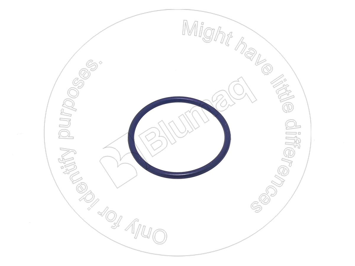 310-7258 Seal O-ring for BLUMAQ