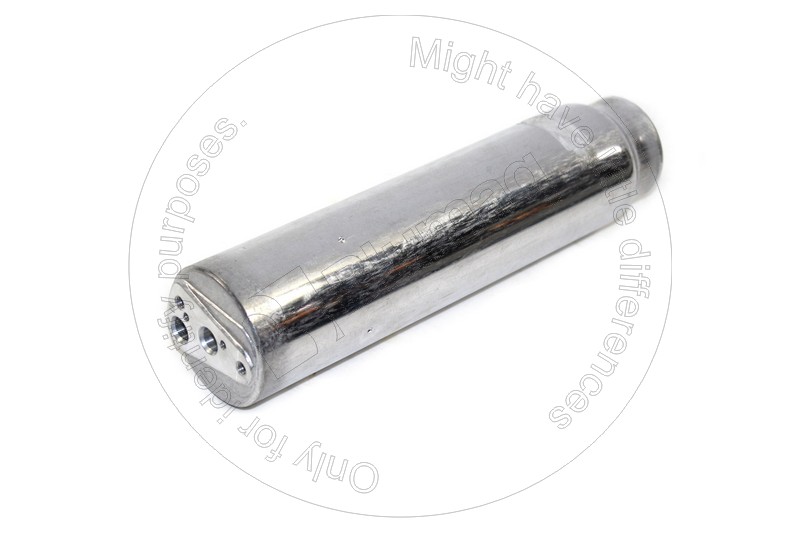 176-1902 Dryer Filter for BLUMAQ