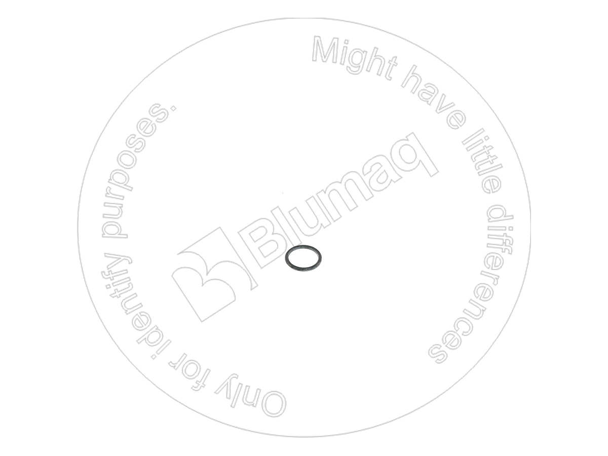 CSS300062 BLUMAQ Seal O-ring