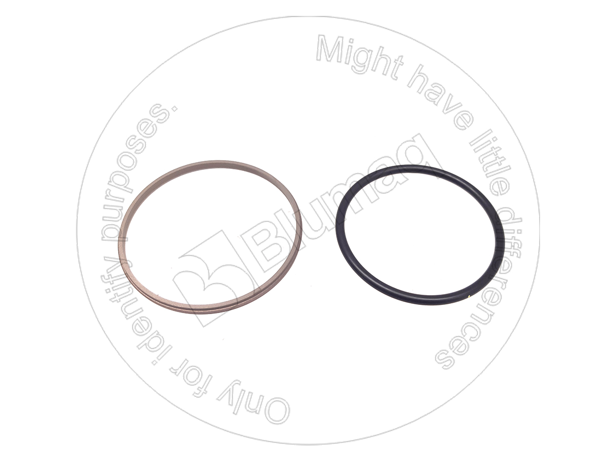721-47-12021 Seal for BLUMAQ