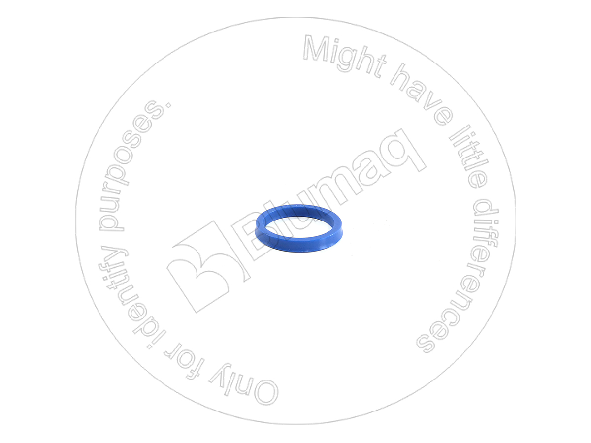CS153317745 Ring