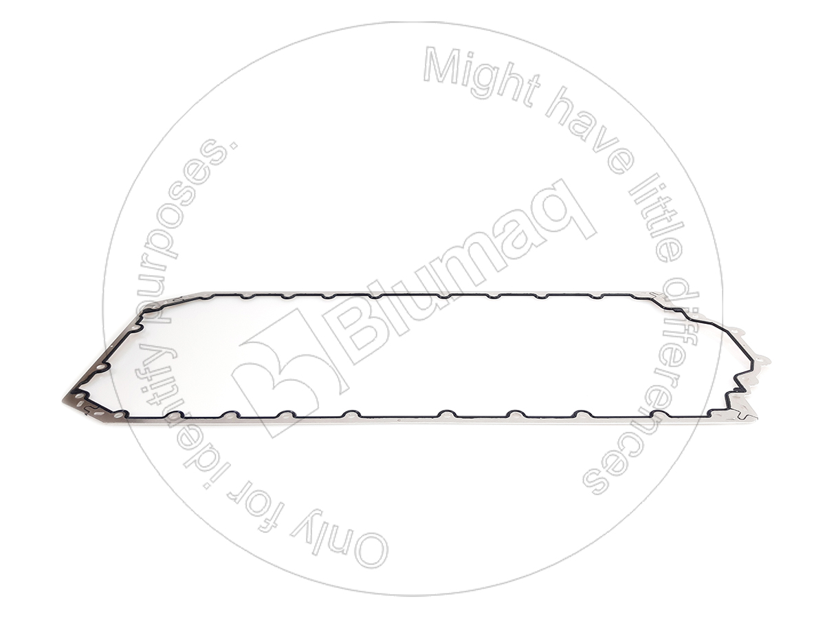 351-4749 BLUMAQ Gasket