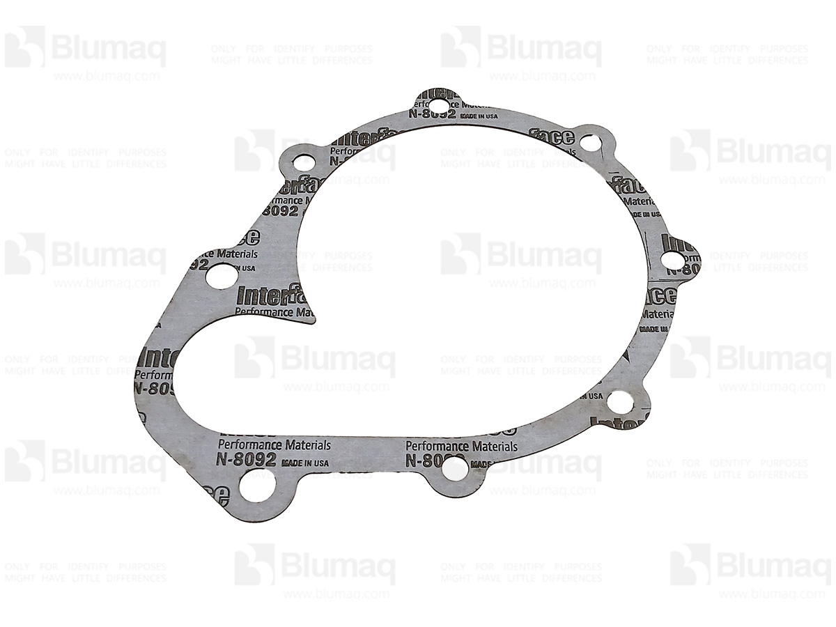 6151-61-1160 Gasket for BLUMAQ