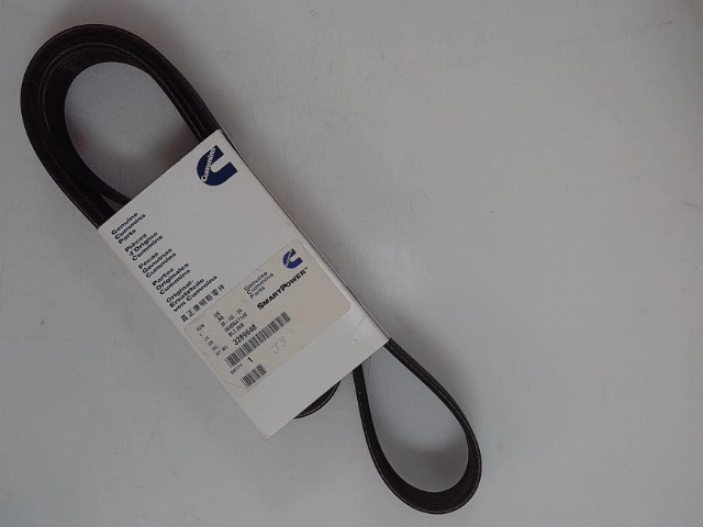 3289648 Belt