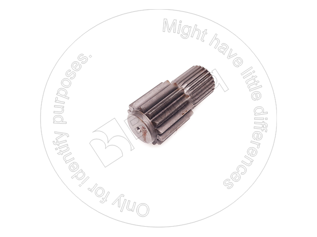 CS153318665 Pinion