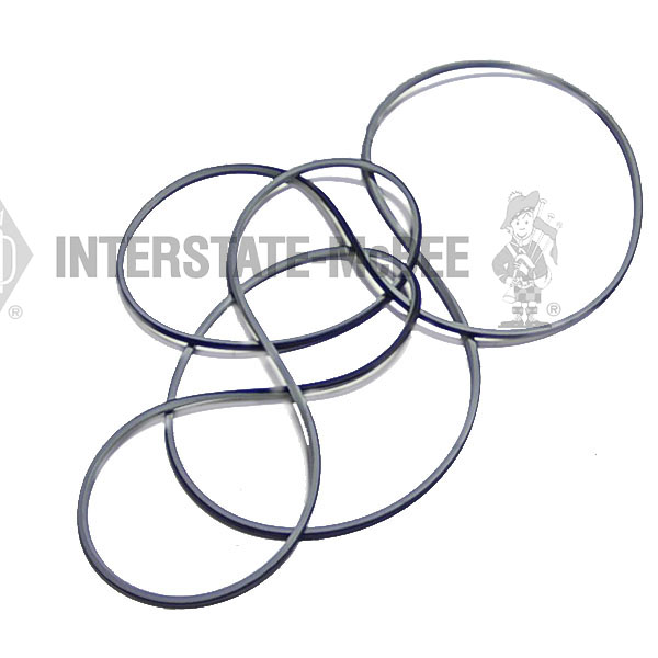 A-5119973 Seal Ring - Cylinder Head