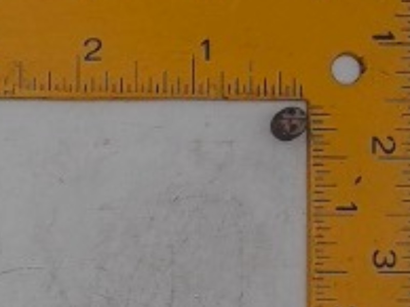 15521-93610 Screw