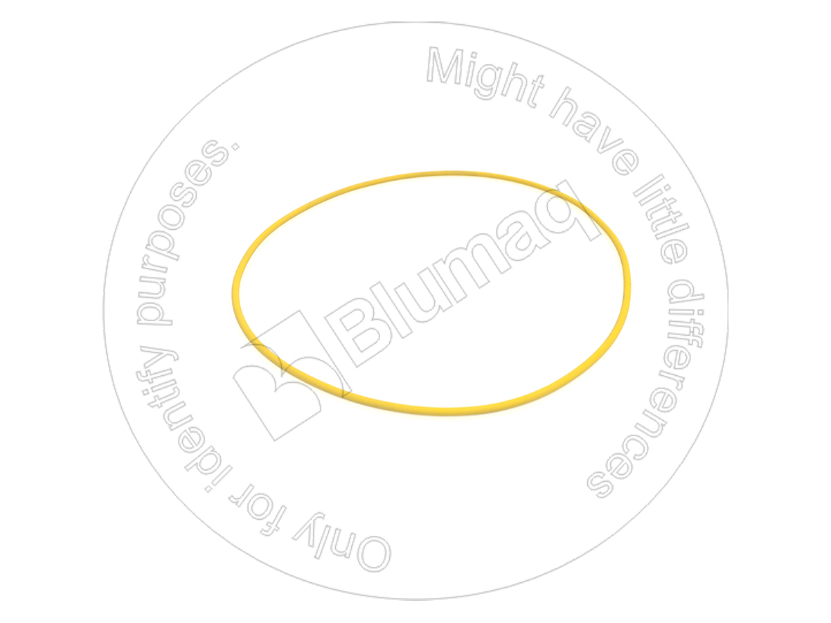 AC2490 Seal O-ring for BLUMAQ