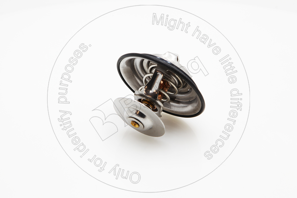 6746-61-6210 Thermostat for BLUMAQ