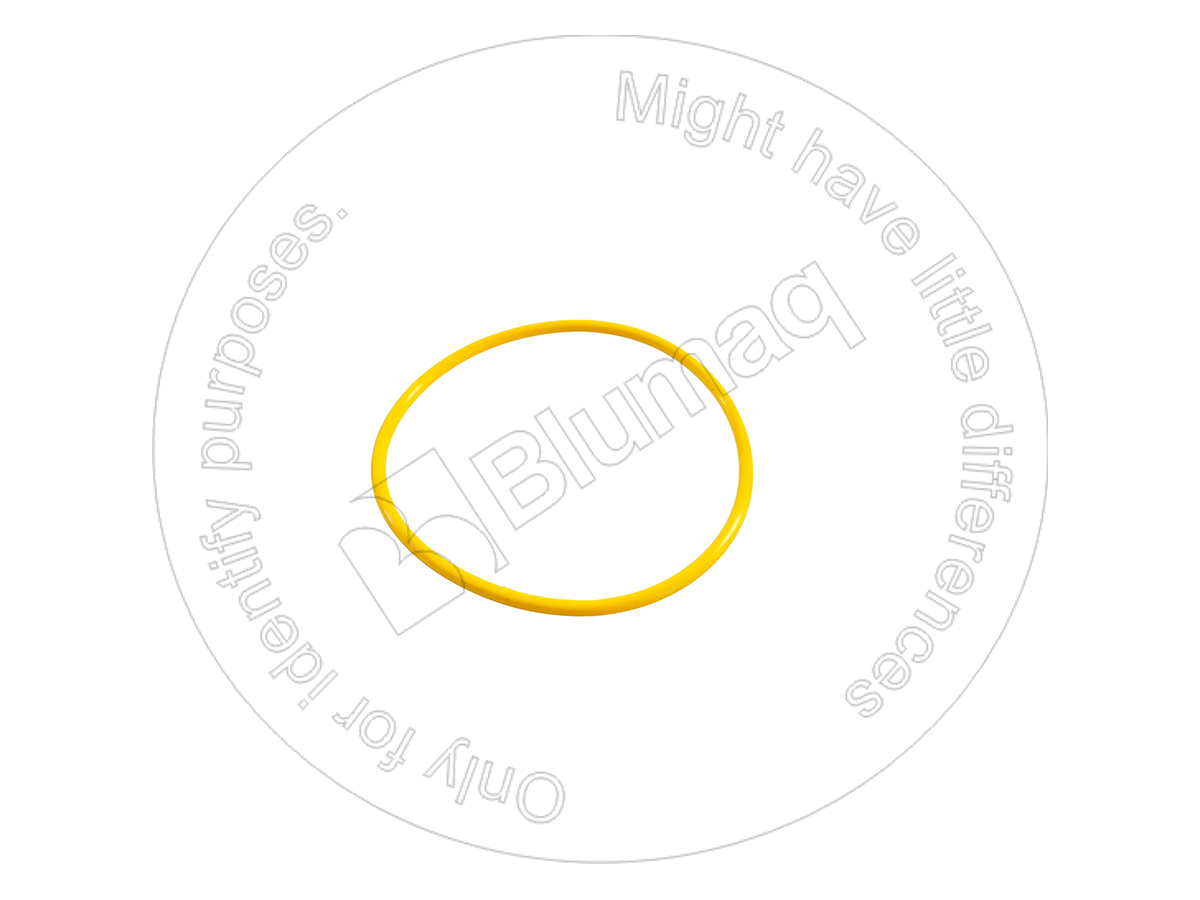 07000-73088 Seal O-ring for BLUMAQ