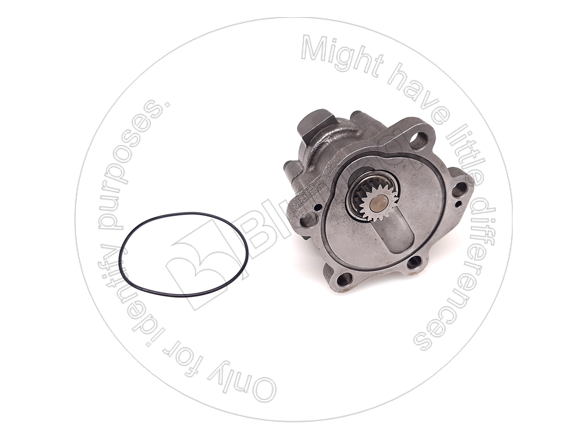 901.00583 Pump for BLUMAQ