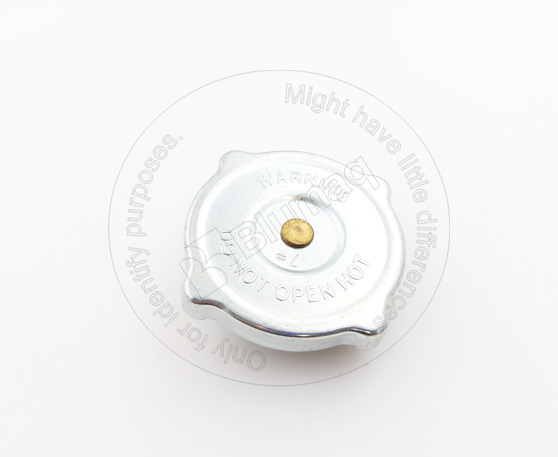 099-0001 Plug for BLUMAQ