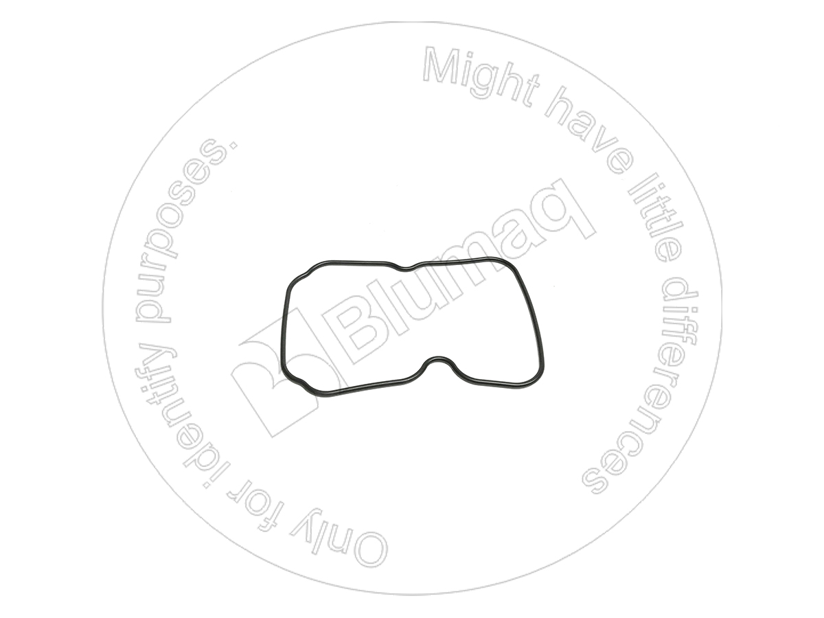 109-7425 Seal for BLUMAQ