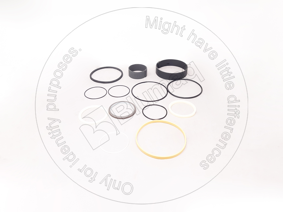 CS87529743 CASE Packing Kit