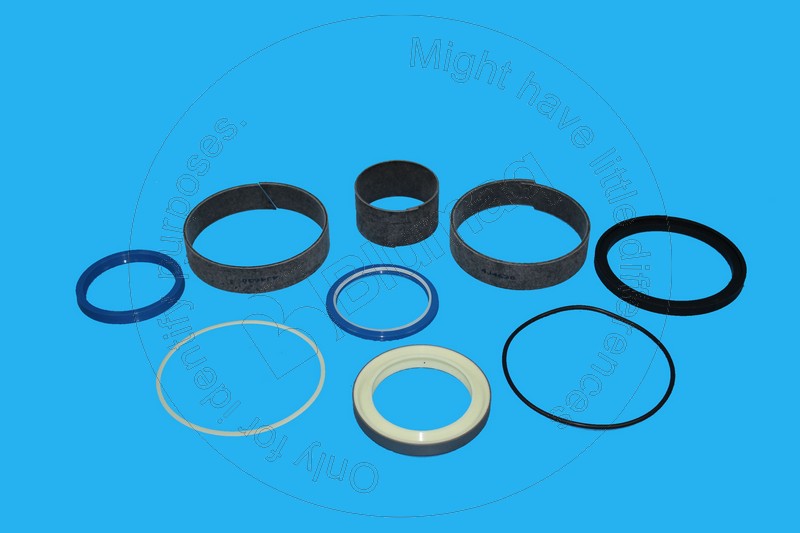 449-6123 Seal Kit for BLUMAQ