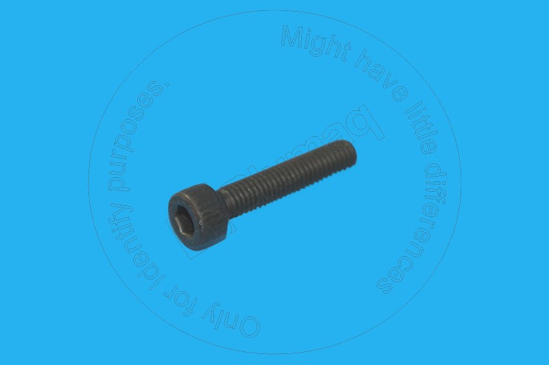 136-1613 Allen Bolt
