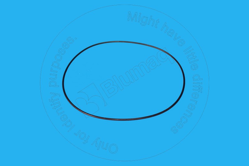 JDL110640 BLUMAQ Seal O-ring