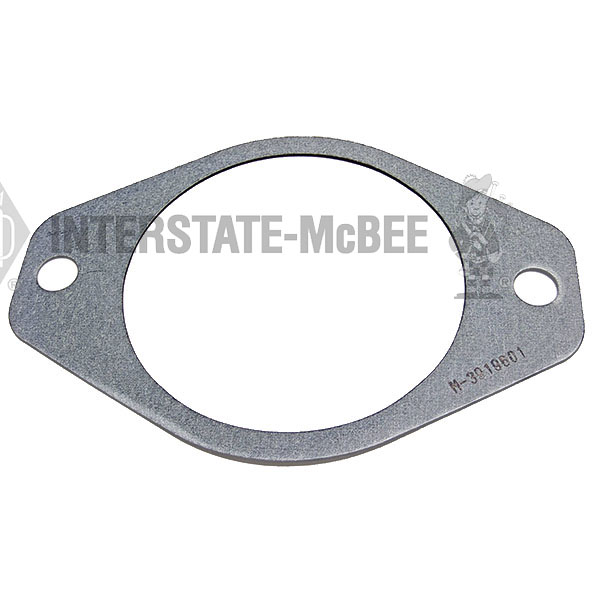 M-3919601 Gasket