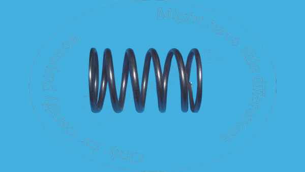 432496 Spring for BLUMAQ