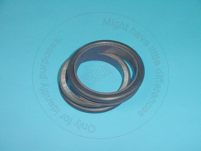 125-3266 Seal Gp. Duo-cone