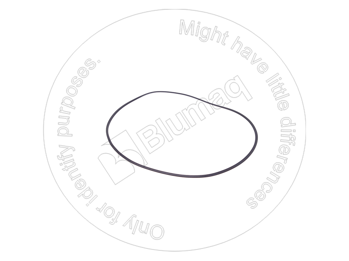900.01697 Seal for BLUMAQ