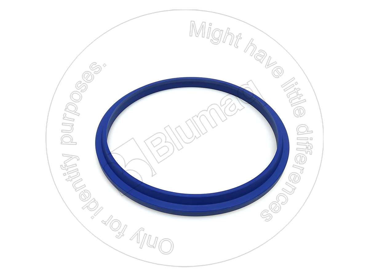 289-2930 Wiper Seal for BLUMAQ