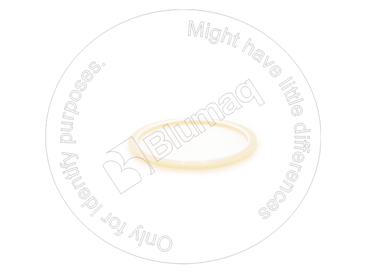 350-0956 Seal for BLUMAQ