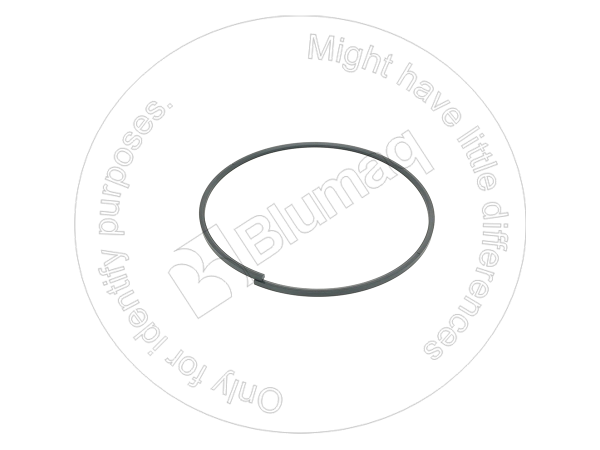 CA9W6991 Seal Ring