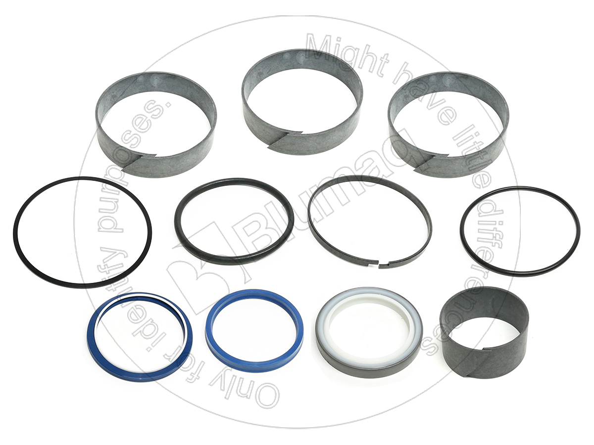 416-0066 Hoist Hyd. Seal Kit for BLUMAQ