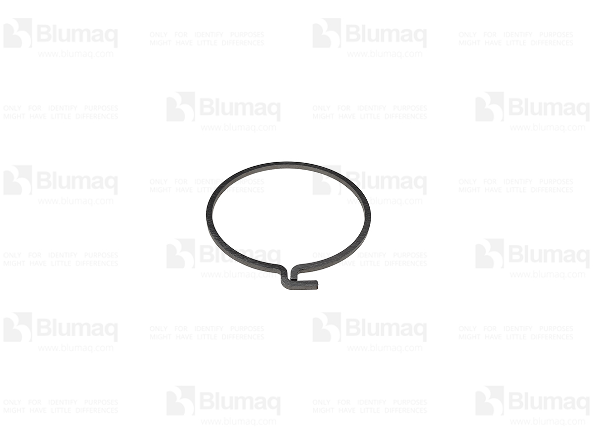 CS87708453 Seal Ring