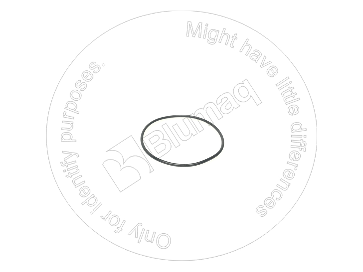 115.A790 Seal O-ring for BLUMAQ